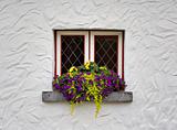 Window and Flowers
