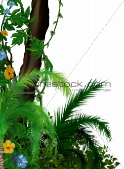 Jungle vegetation