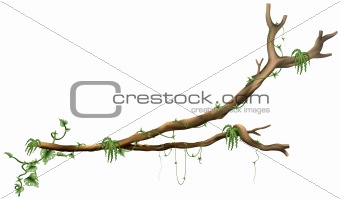 Branch Tree