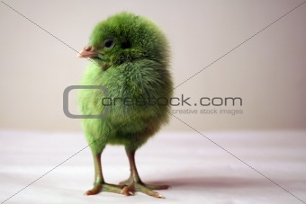 Green chicken