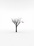 Single Tree With Love 7