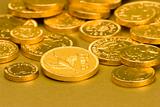 Gold Chocolate coins