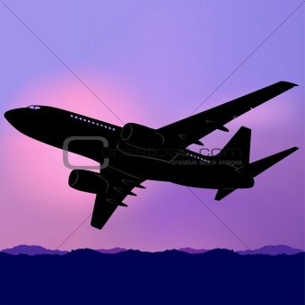 Aeroplane Silhouette 02