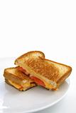 Grilled cheese and tomatoe sandwich