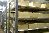 cheese storage in dairy 