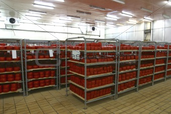 cheese storage in dairy 