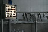 industrial control system in modern dairy factory