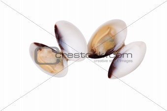 Couple off shells