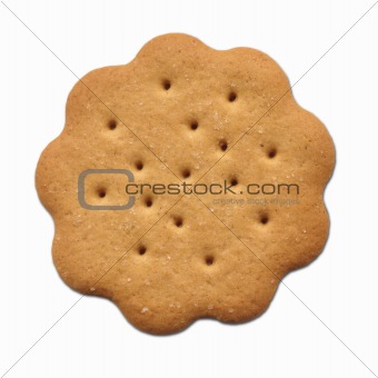 Spice Cookie