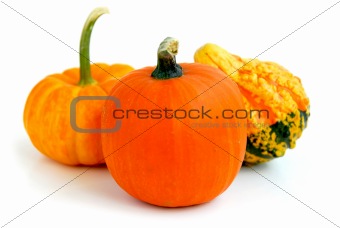 Mini pumpkin