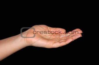 Open Hand isolated on black with clipping path included