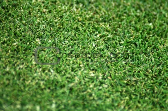 grass pattern