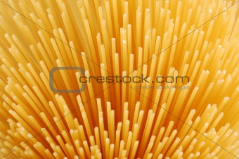 uncooked spaghettis