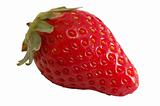 Fresh Strawberry close-up