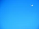 Moon in Sky