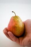 Pear in Hand
