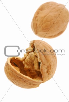 shattered walnut