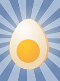 Egg illustration