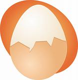 Egg illustration