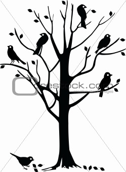 Birds on tree silhouette