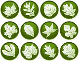 Twelve Leaf Buttons