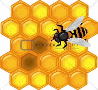 golden honeycomb with bee