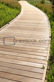 wood path