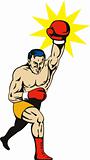Boxer punching