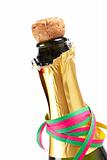 Detail of champagne cork