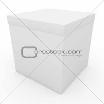 Blank Package Gift Box