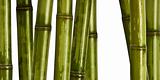 wide hard bamboo background