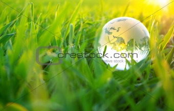 globe in grass