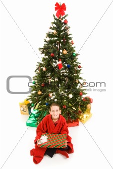Christmas Tree and Boy