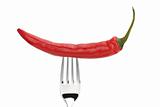 red pepper on a fork isolated on a white background