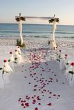 Beach Wedding Path Rose Pedals