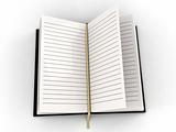 blank open diary