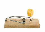 Mousetrap with cheese