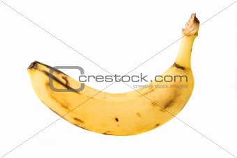 single banana isolated on white