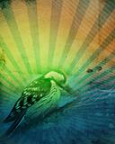 abstract background with bird, illustration
