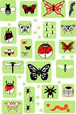 Set of Vector Insects