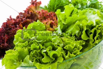 fresh salads