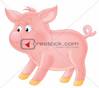 Pink piglet