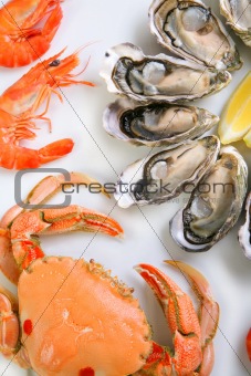 Plate of seafood