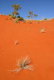 Red desert sand dune Australia