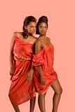 Two young beautiful ethnic sexy women in sari