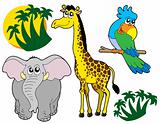 African animals collection 3