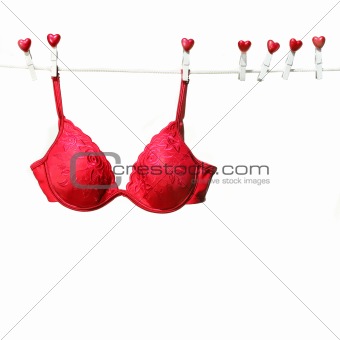 Fancy red bra hanging on clothesline 