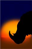 Rhinoceros silhouette at sunset