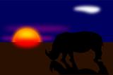 Rhinoceros silhouette at sunset