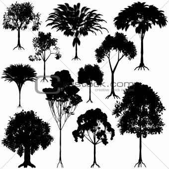 Tree outlines